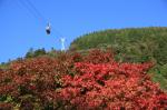 ロープウェイ山麓