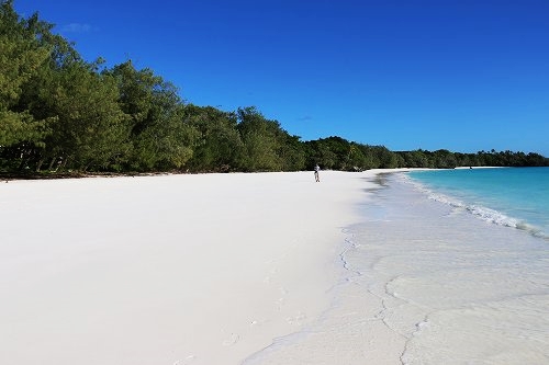 ロンガニビーチ