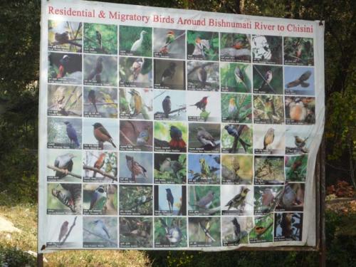 Ｂｉｓｈｕｎｕｍａｔｉ１４