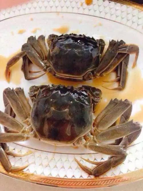 酔っ払い上海蟹１