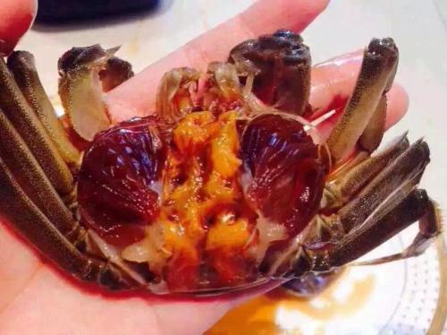 酔っ払い上海蟹２