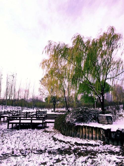 北京の初雪１０