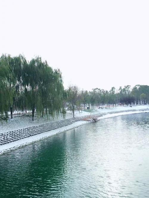 北京の初雪１４