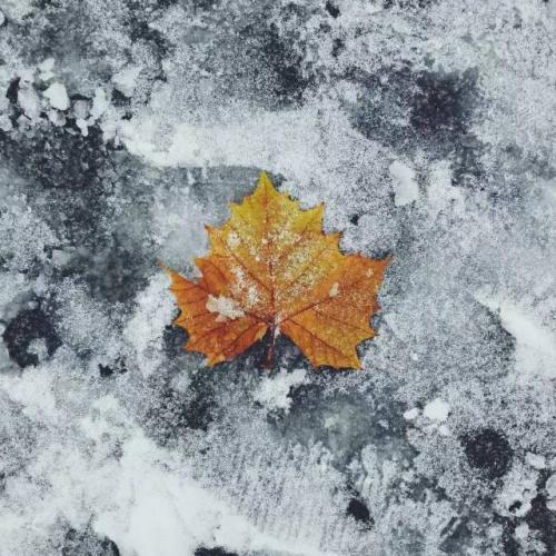 24時間の中国（７）