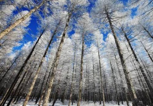 24時間の中国（８）