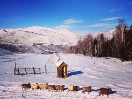 24時間の中国（９）