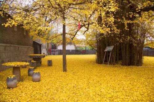 24時間の中国（１２）