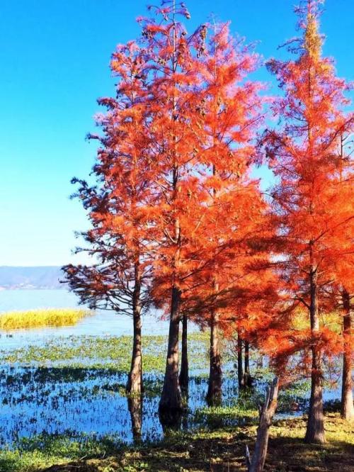 24時間の中国（１３）