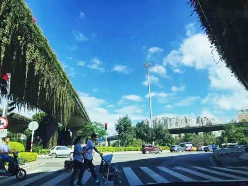 24時間の中国（１７）