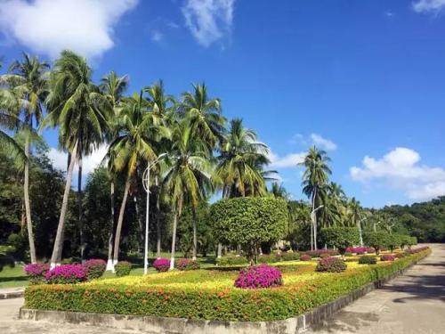 24時間の中国（２４）