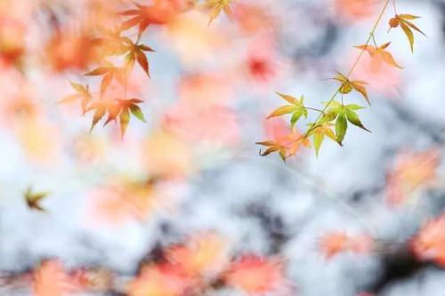 24時間の中国（２９）