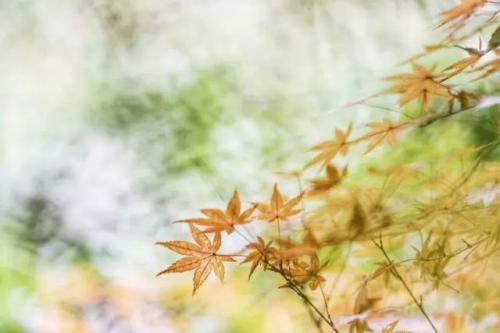 24時間の中国（３０）