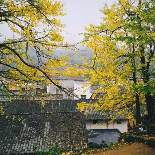 24時間の中国（３３）