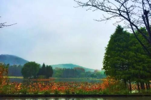 24時間の中国（３６）