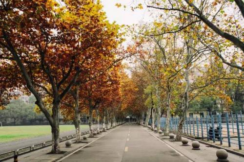 24時間の中国（３７）