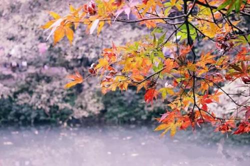 24時間の中国（３８）