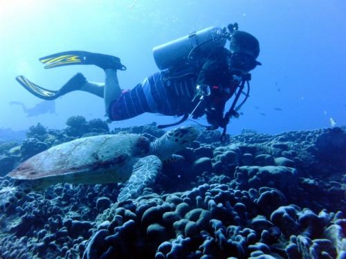 サイパン ダイビングショップ