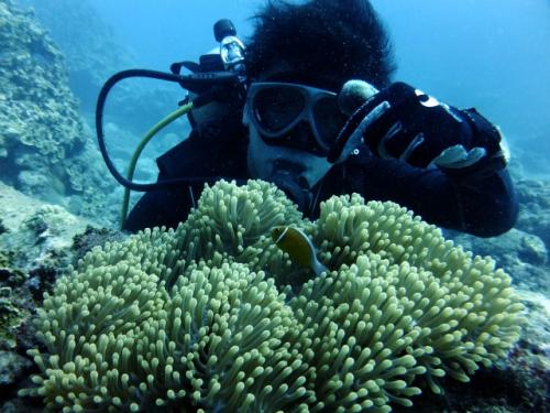 サイパン ダイビングショップ