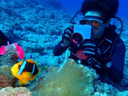 サイパン 体験ダイビング