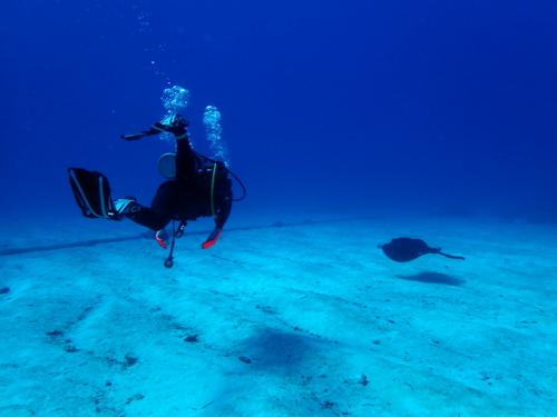 サイパン ダイビング