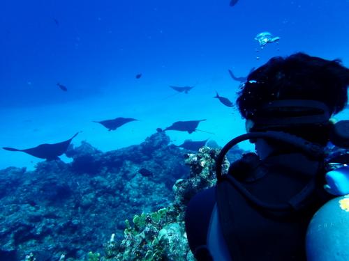 サイパン ダイビング