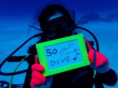 サイパン ダイビング ライセンス