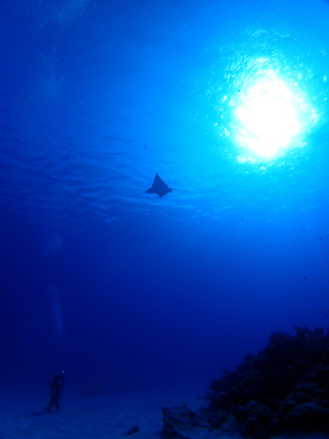 サイパン ダイビング ライセンス