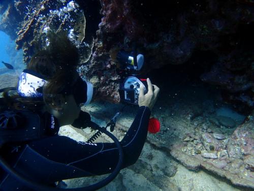 サイパン ダイビング ライセンス