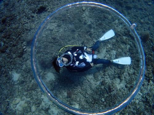 サイパン ダイビングショップ