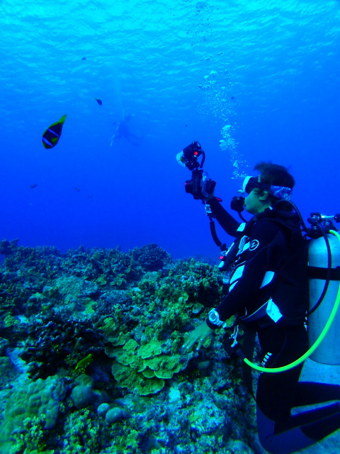 サイパン ダイビング ライセンス