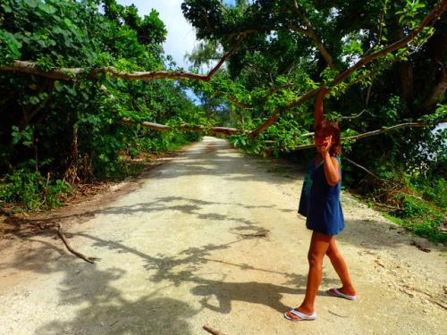 サイパン ダイビング ライセンス