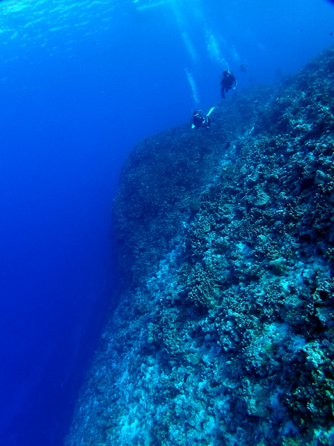 サイパン ダイビング ライセンス