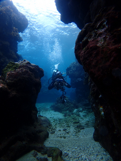 サイパン 体験ダイビング