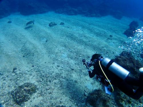サイパン ダイビング
