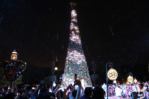 輝くクリスマスツリー