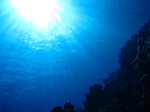サイパン ダイビング