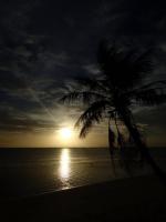 サイパン　ダイビング