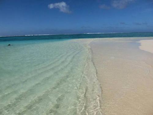 サイパン ダイビング ライセンス