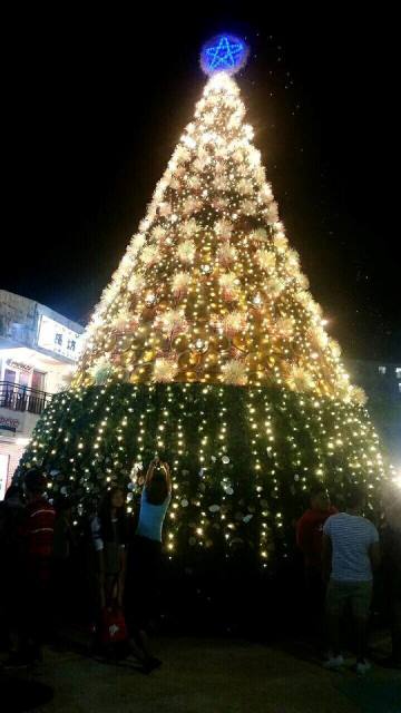 サイパン 体験ダイビング