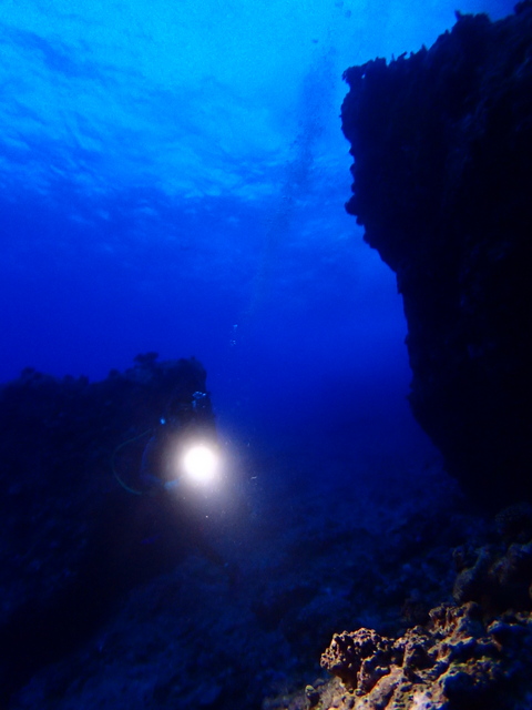 サイパン ダイビング ライセンス