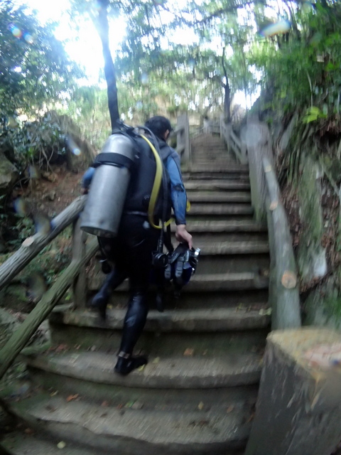 サイパン ダイビング