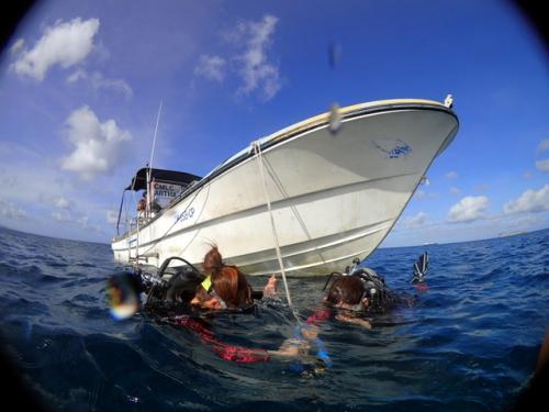 サイパン 体験ダイビング