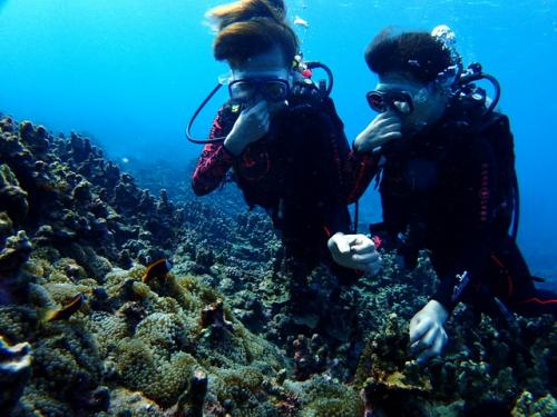 サイパン ダイビングショップ