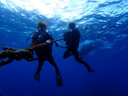 サイパン ダイビング