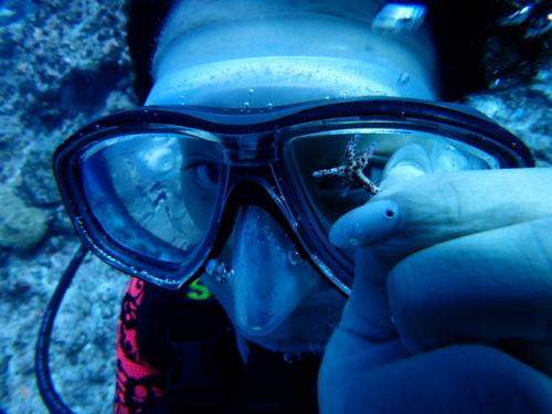 サイパン 体験ダイビング