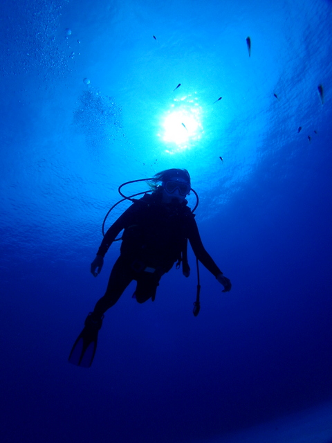 サイパン 体験ダイビング