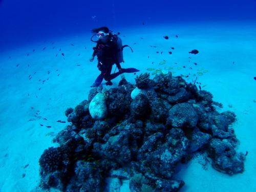 サイパン ダイビングショップ