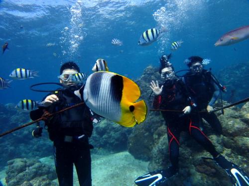 サイパン ダイビング ライセンス