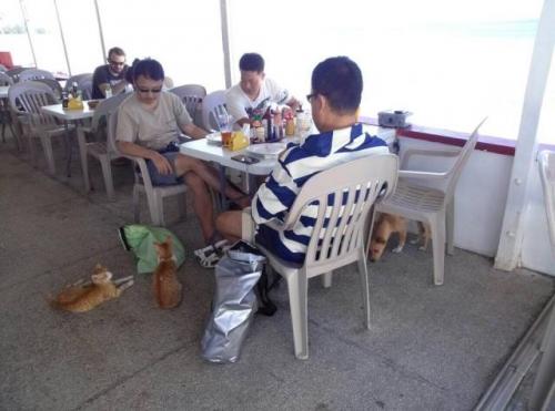 サイパン ダイビング ライセンス