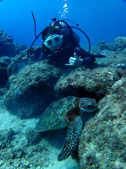 サイパン 体験ダイビング